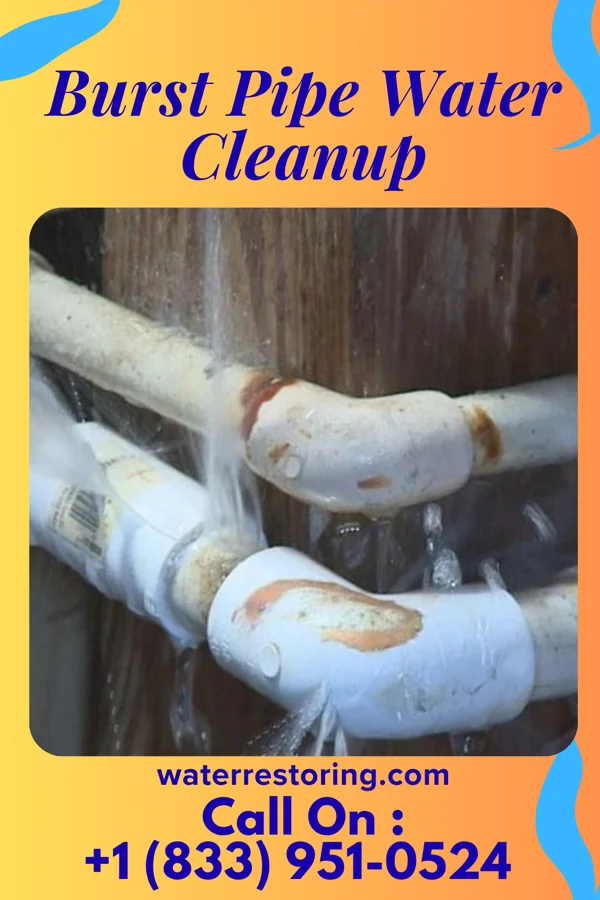 Burst Pipe Water Cleanup in Elon, NC