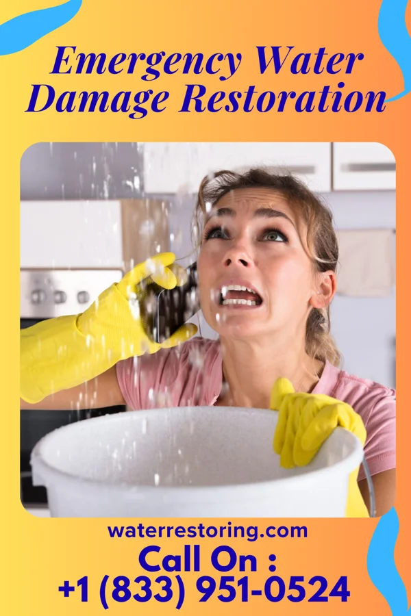 Emergency Water Damage Restoration in Elon, NC