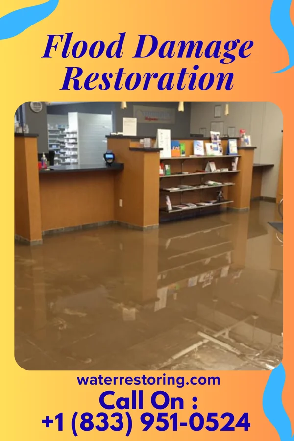 Flood Damage Restoration in Elon, NC
