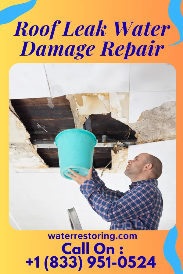 Roof Leak Water Damage Repair in Elon, NC